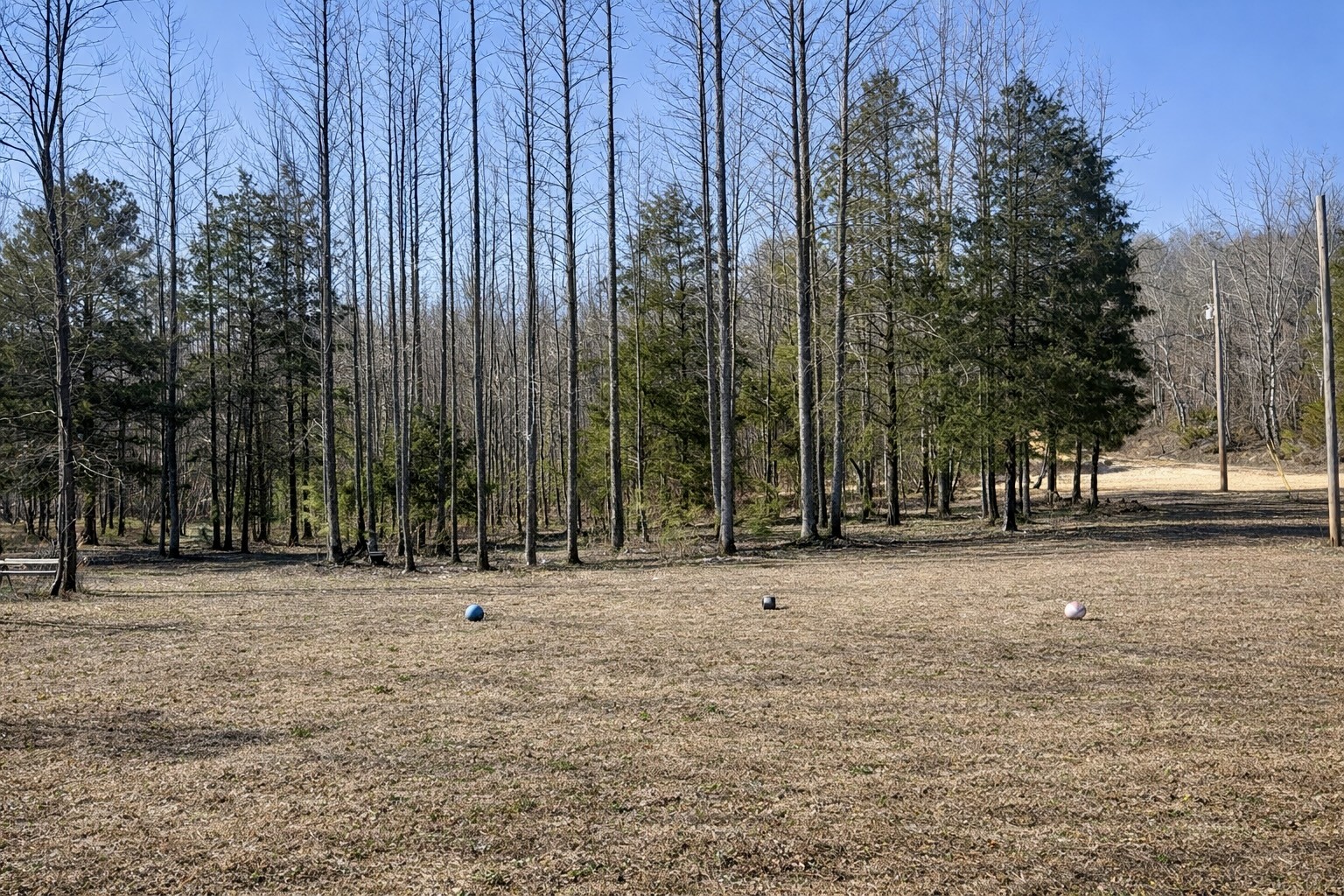 664 Russ Valley Road Lobelville, TN 37097 - Photo 49 of 57 a backyard of a house with lots of green space
