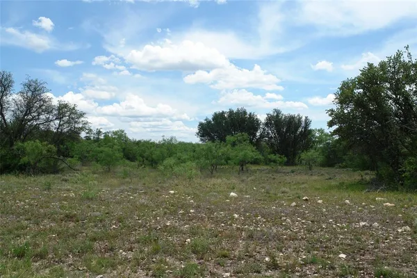 a view of a field with trees in the background