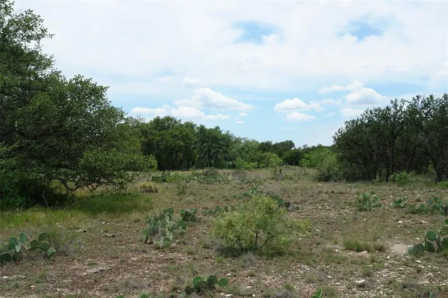 a view of a field with trees in the background