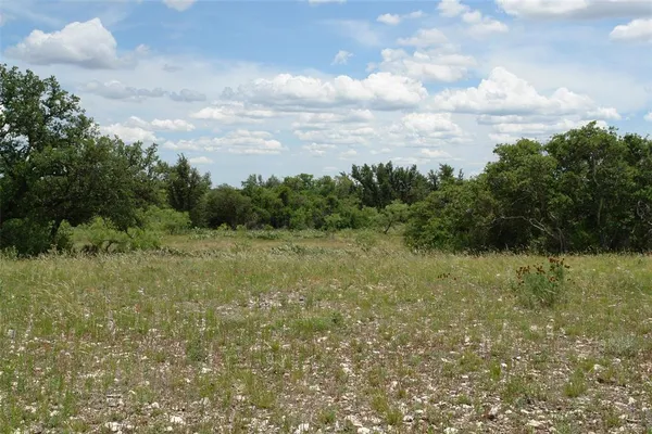a view of a field with trees in the background