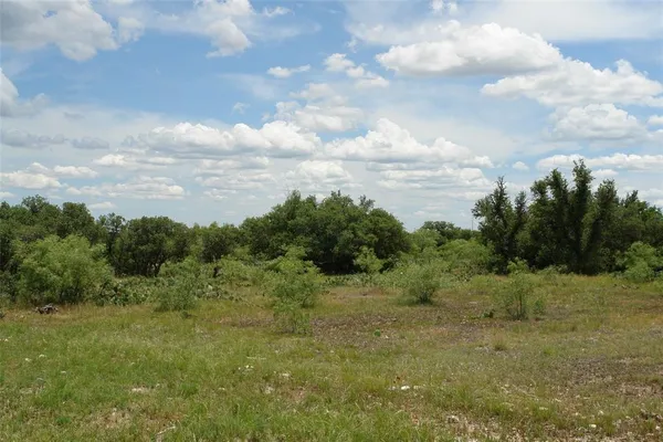 a view of a green field with lots of trees