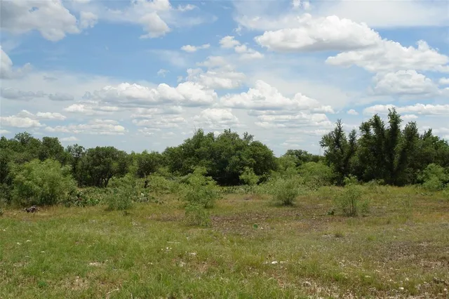 a view of a green field with lots of trees