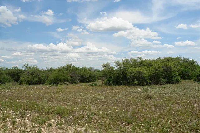 a view of a field with trees in the background
