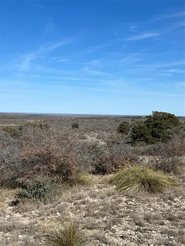 a view of a dry yard with trees