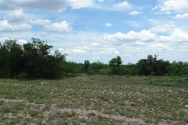 a view of a field with trees in background