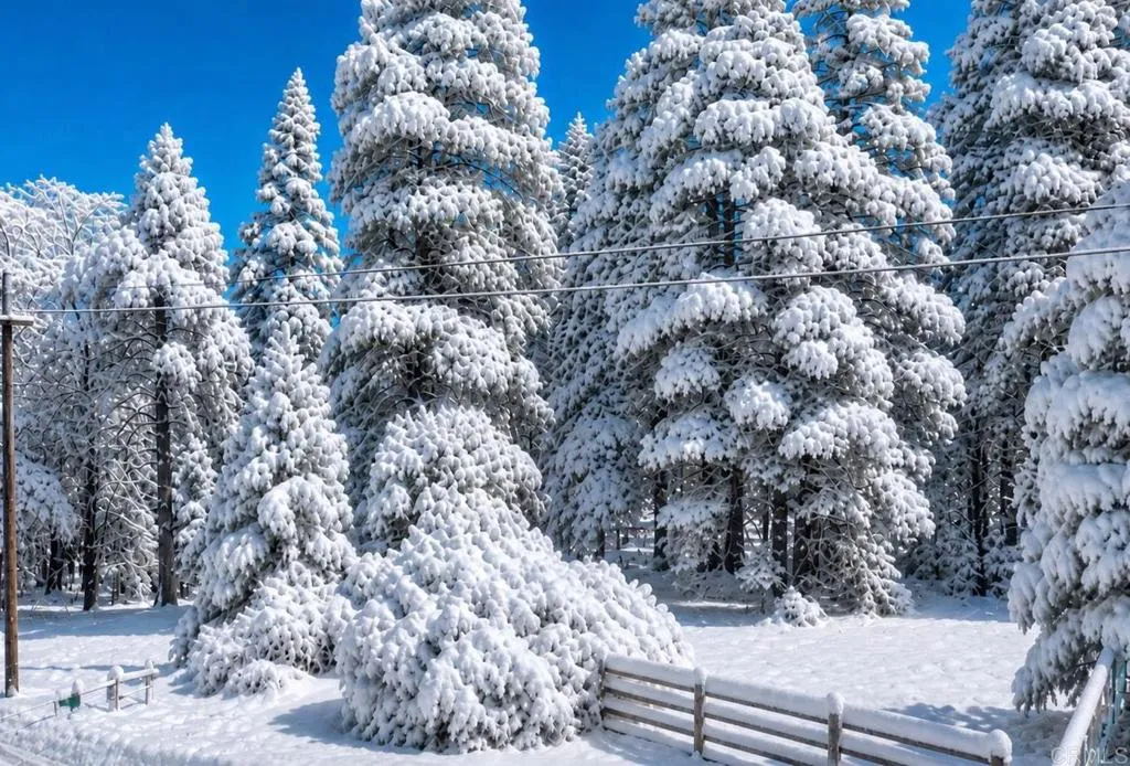 0 Crestline Road Valley Center, CA 92082 - Photo 1 of 18 Showing post winter snowfall (image generated)