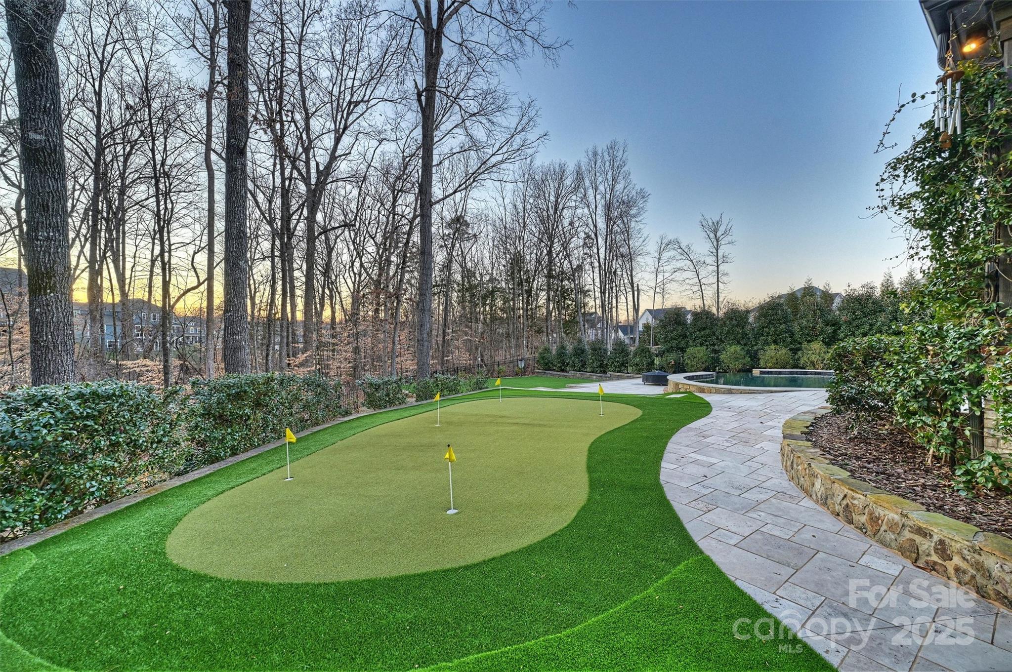 17639 Stuttgart Road Davidson, NC 28036 - Photo 46 of 48 a view of a swimming pool with a backyard