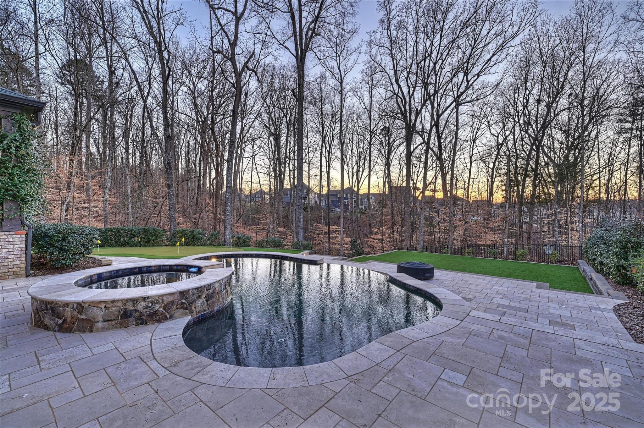 17639 Stuttgart Road Davidson, NC 28036 - Photo 47 of 48 a view of a swimming pool with a yard