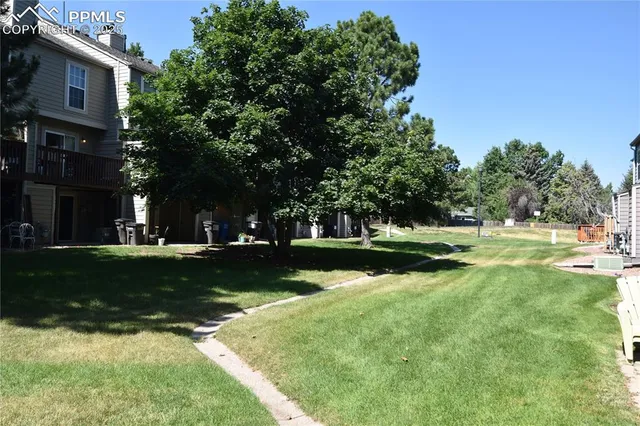 a view of a park with large trees