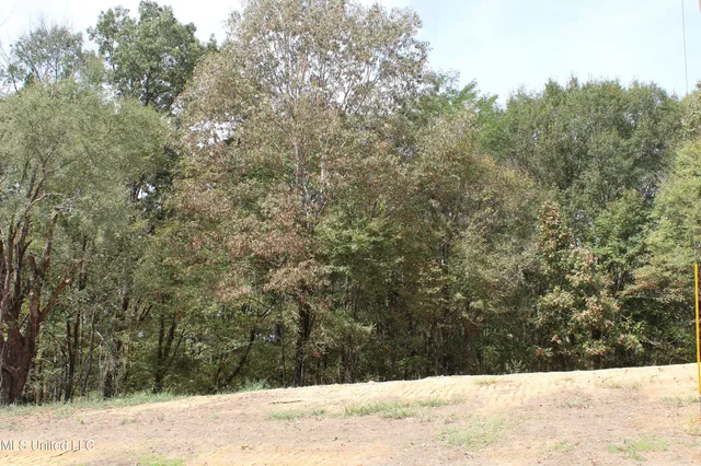 $110,000 | 13 Old Barn Cove, Coldwater, MS 38618