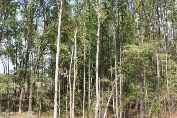 $110,000 | 13 Old Barn Cove, Coldwater, MS 38618