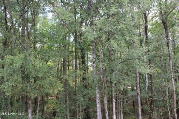 $110,000 | 13 Old Barn Cove, Coldwater, MS 38618