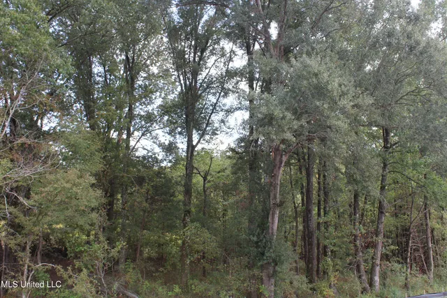 $110,000 | 13 Old Barn Cove, Coldwater, MS 38618