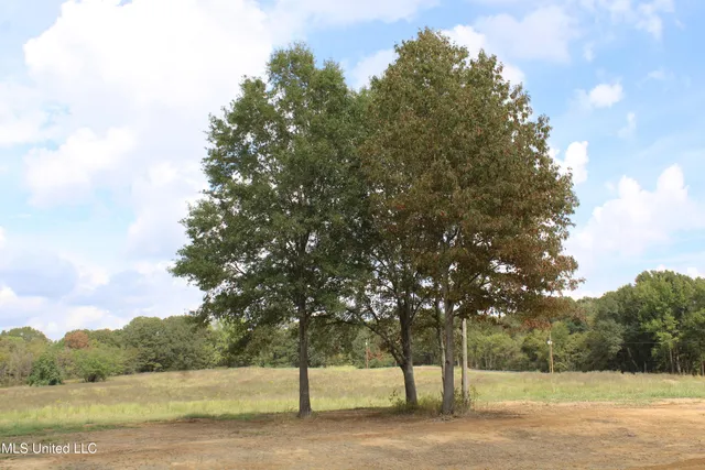 $110,000 | 13 Old Barn Cove, Coldwater, MS 38618