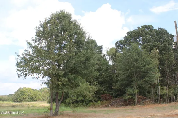 $110,000 | 13 Old Barn Cove, Coldwater, MS 38618