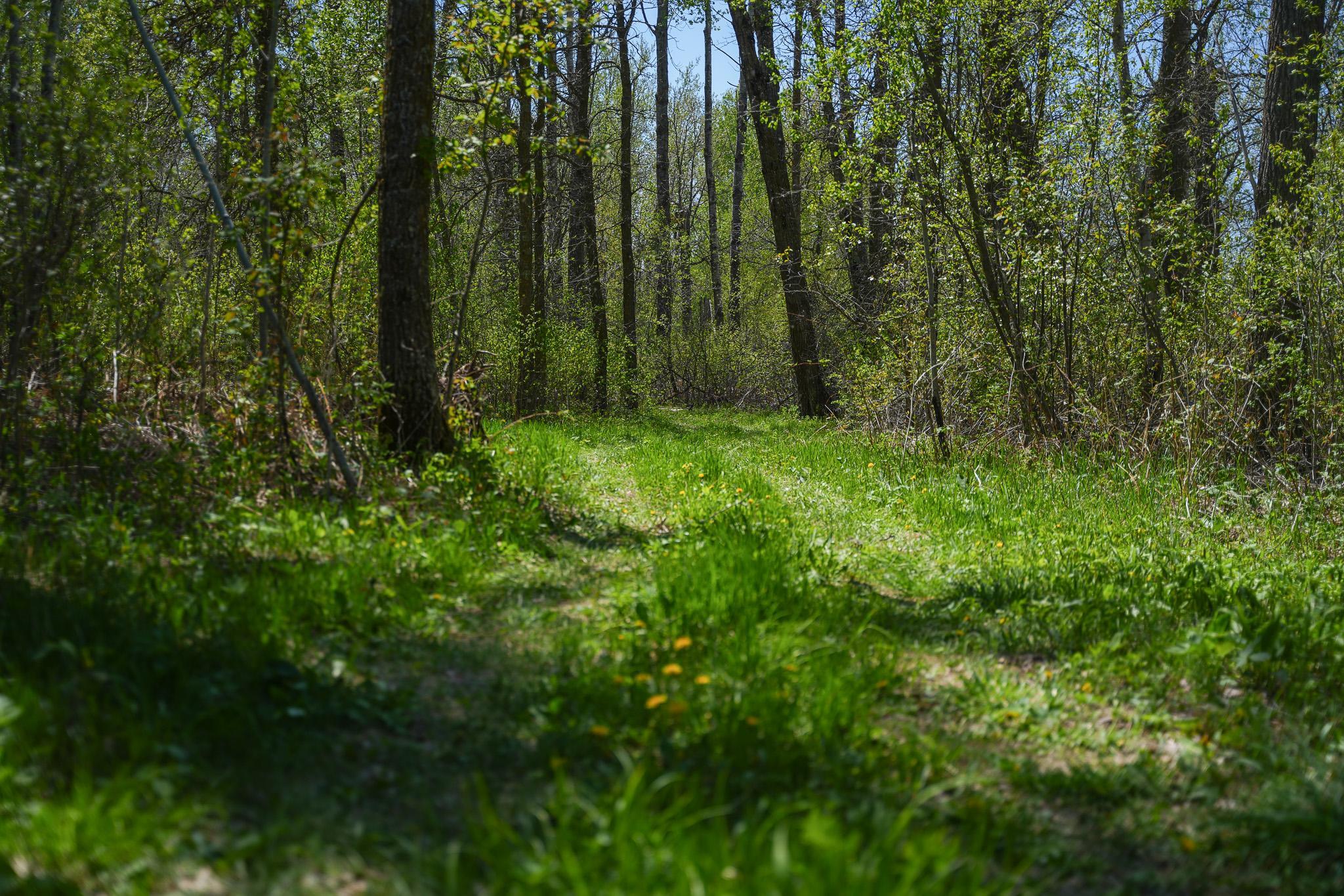 Tbd 140 Street Frazee, MN 56544 - Photo 75 of 149
