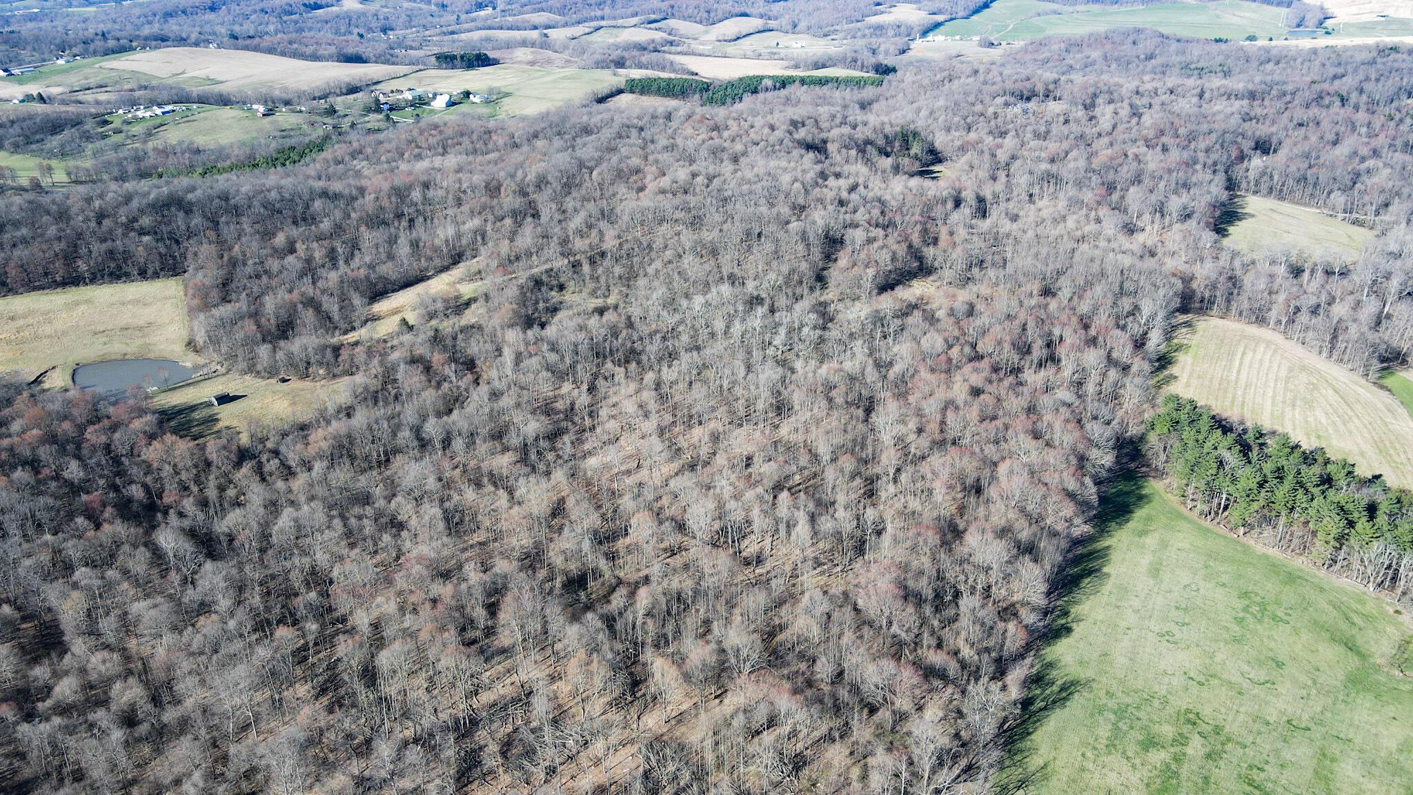 Lot 1 Mulberry Road Mount Perry, OH 43760 - Photo 2 of 31 3-12-DJI_0020