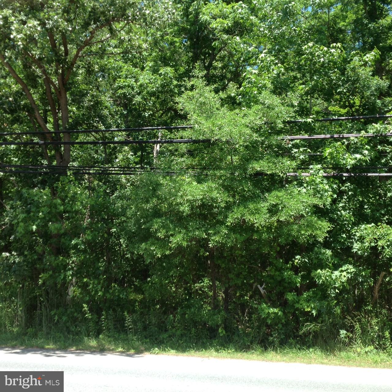 13500 Brandywine Road Brandywine, MD 20613 - Photo 10 of 11 Exterior (General)