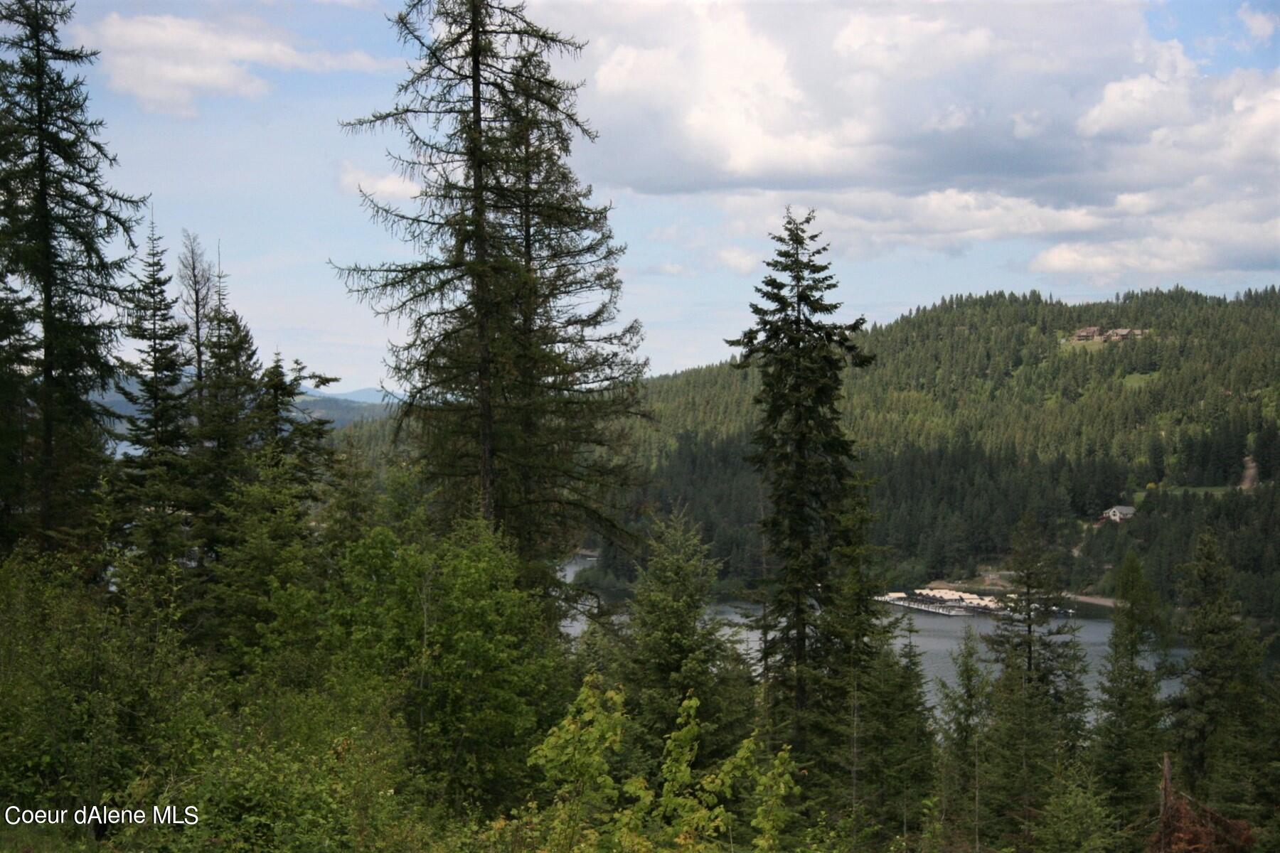 24 South Asbury Road Harrison, ID 83833 - Photo 1 of 1 Lake view
