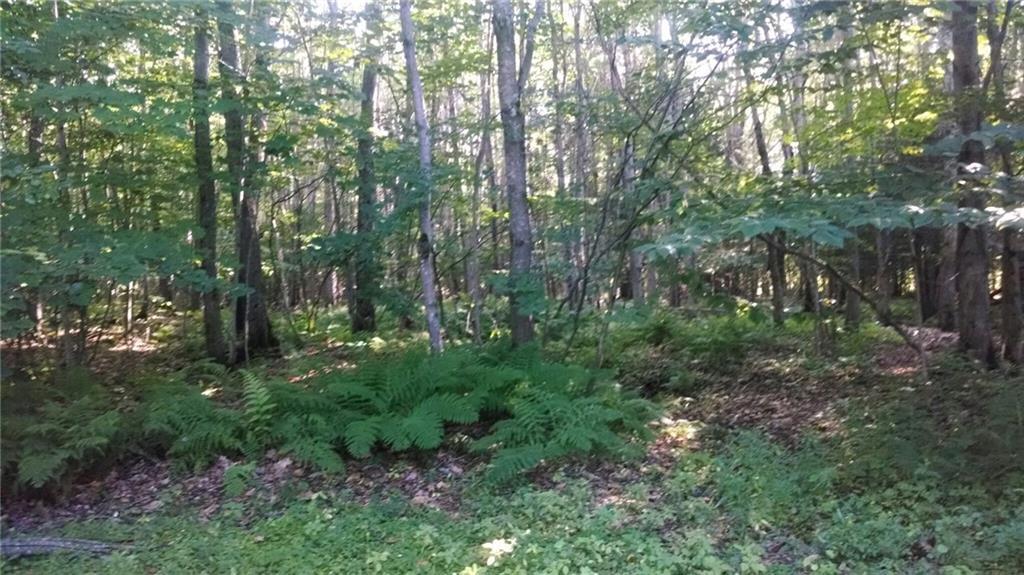 0 Hurlin Smith Road Buxton, ME 04093 - Photo 1 of 7 Photo