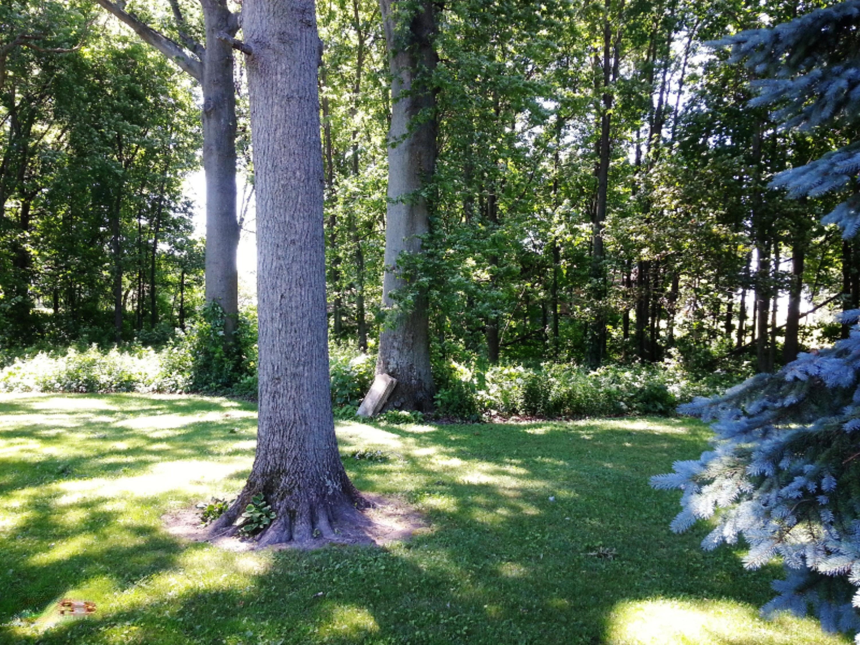 5925 Eidson Road St. Joseph, MI 49085 - Photo 11 of 31 20150623_115549
