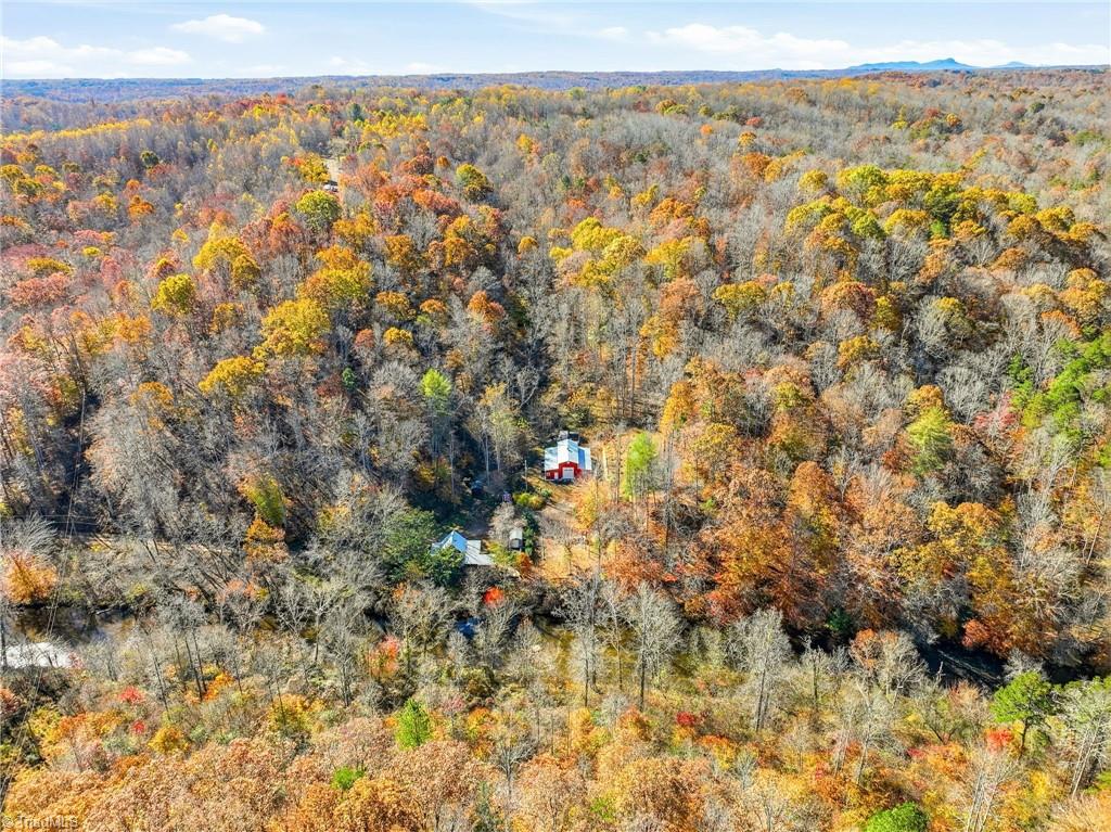 960 Riverview Road Spencer, VA 24165 - Photo 42 of 50