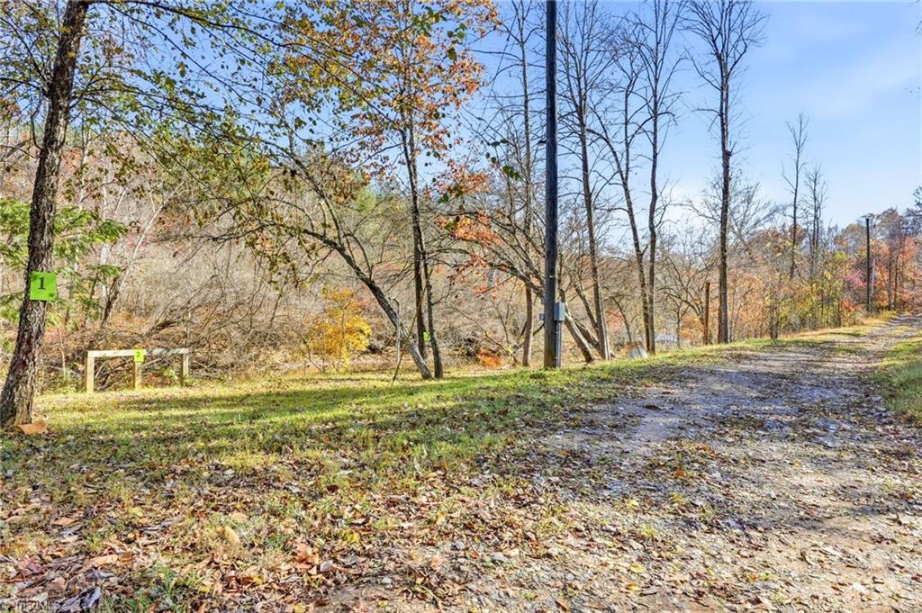 960 Riverview Road Spencer, VA 24165 - Photo 6 of 50