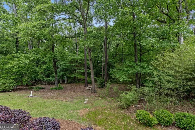 a view of outdoor space and green space