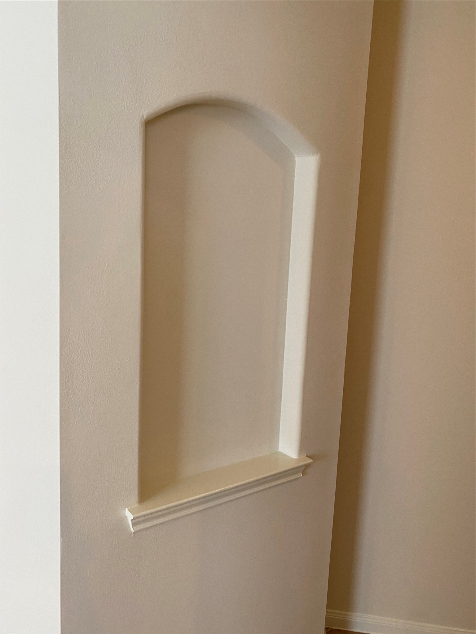 25119 Hazel Ranch Drive Katy, TX 77494 - Photo 4 of 18 Art niche in Entryway