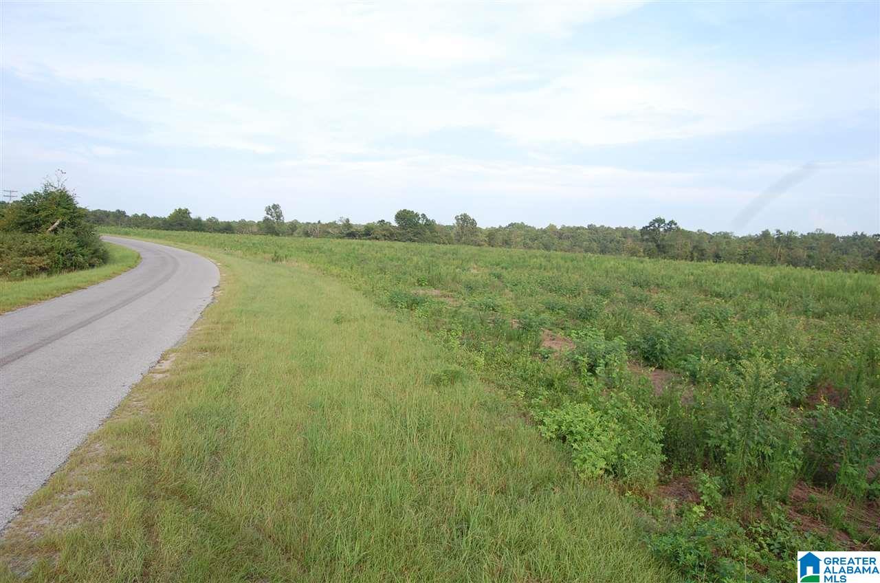 16 County Road, Unit 90 Maplesville, AL 36750 - Photo 8 of 15