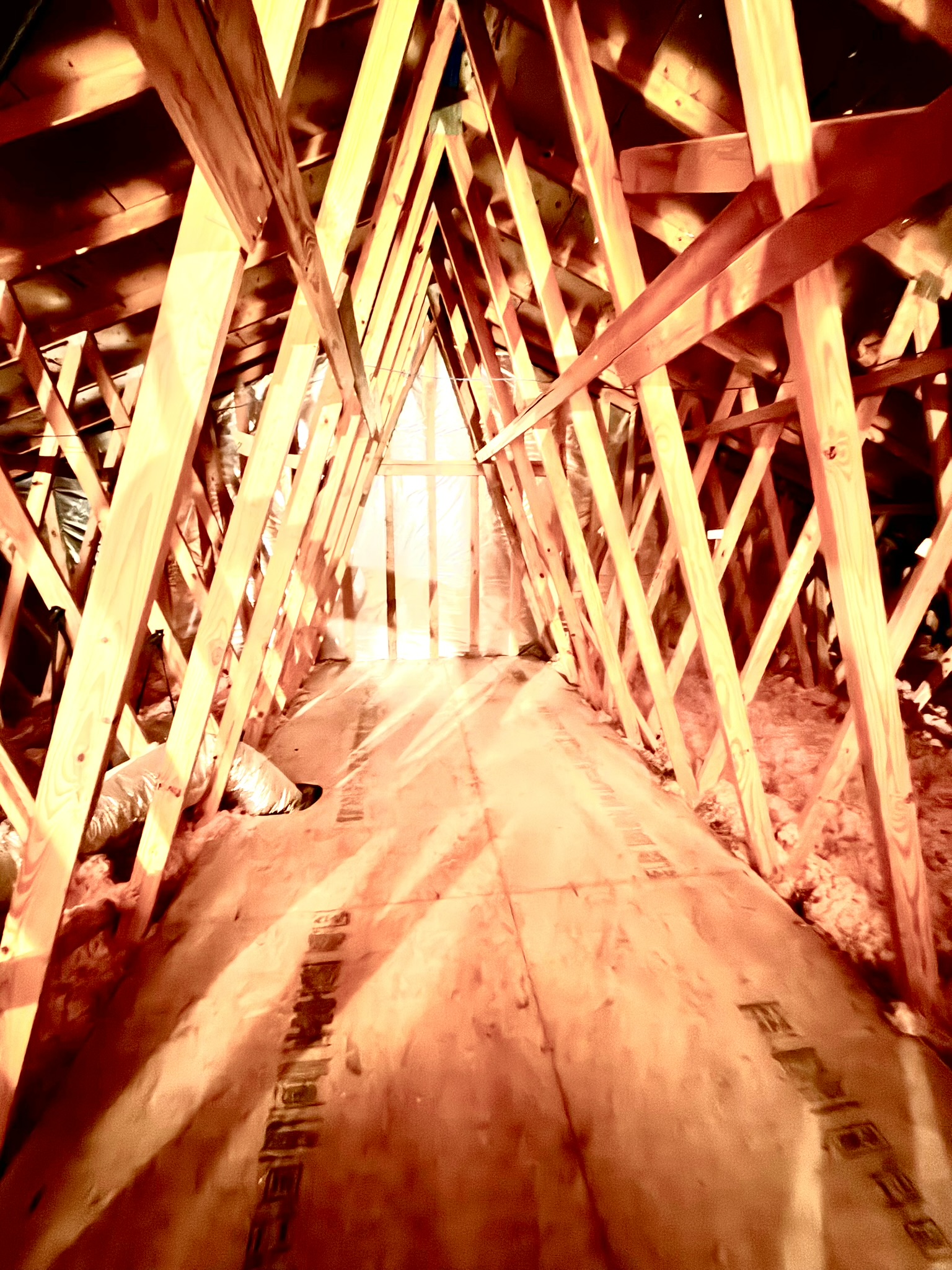 316 Crockett Loop Georgetown, TX 78633 - Photo 25 of 26 Attic has builder grade flooring. Tall enough to stand and walk through. Geat storage.