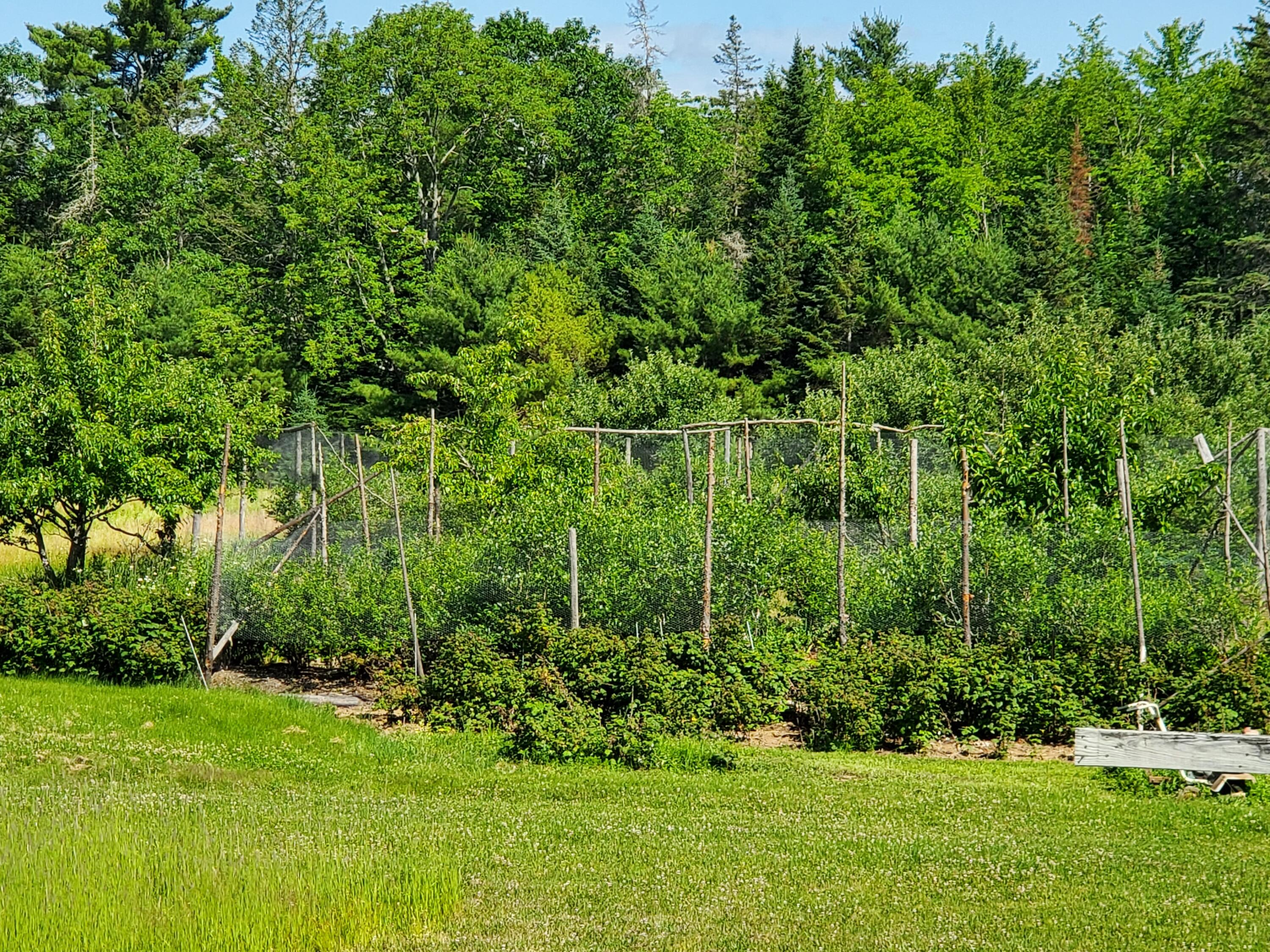 101 Cambridge Road Dexter, ME 04930 - Photo 24 of 43 20220708_095202