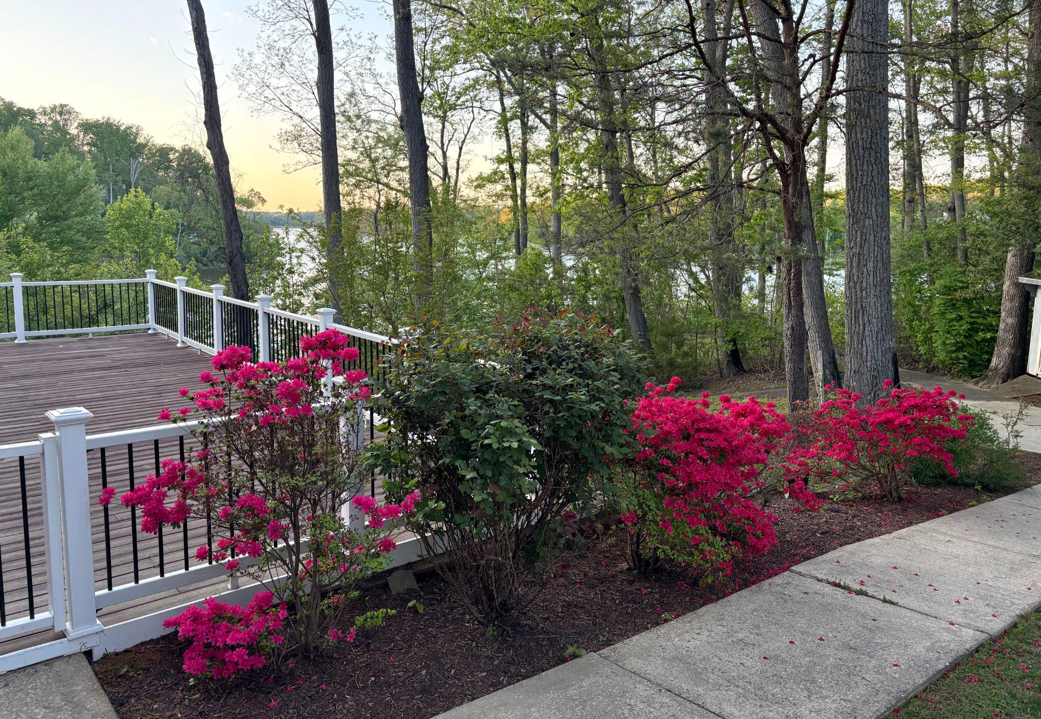 575 Laurel Road Riva, MD 21140 - Photo 64 of 77 Large Deck with Views
