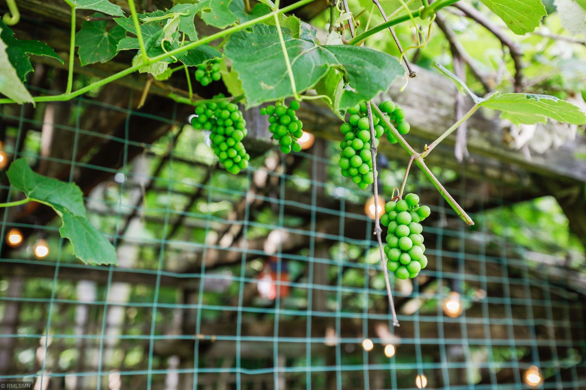 1150 Wyndmere Road Orono, MN 55391 - Photo 52 of 60