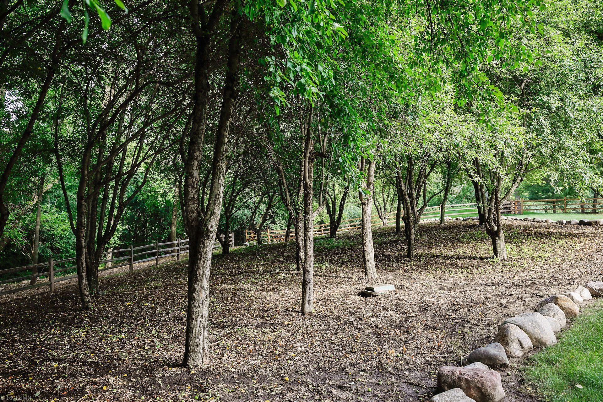 1150 Wyndmere Road Orono, MN 55391 - Photo 55 of 60