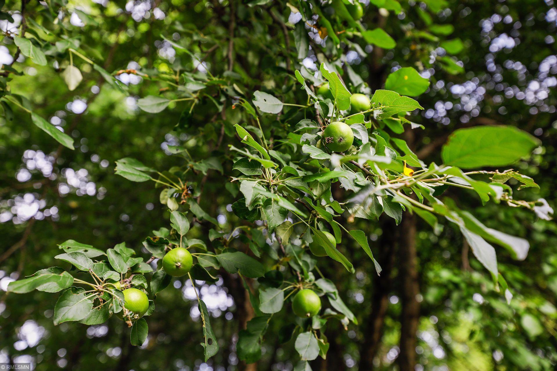 1150 Wyndmere Road Orono, MN 55391 - Photo 56 of 60