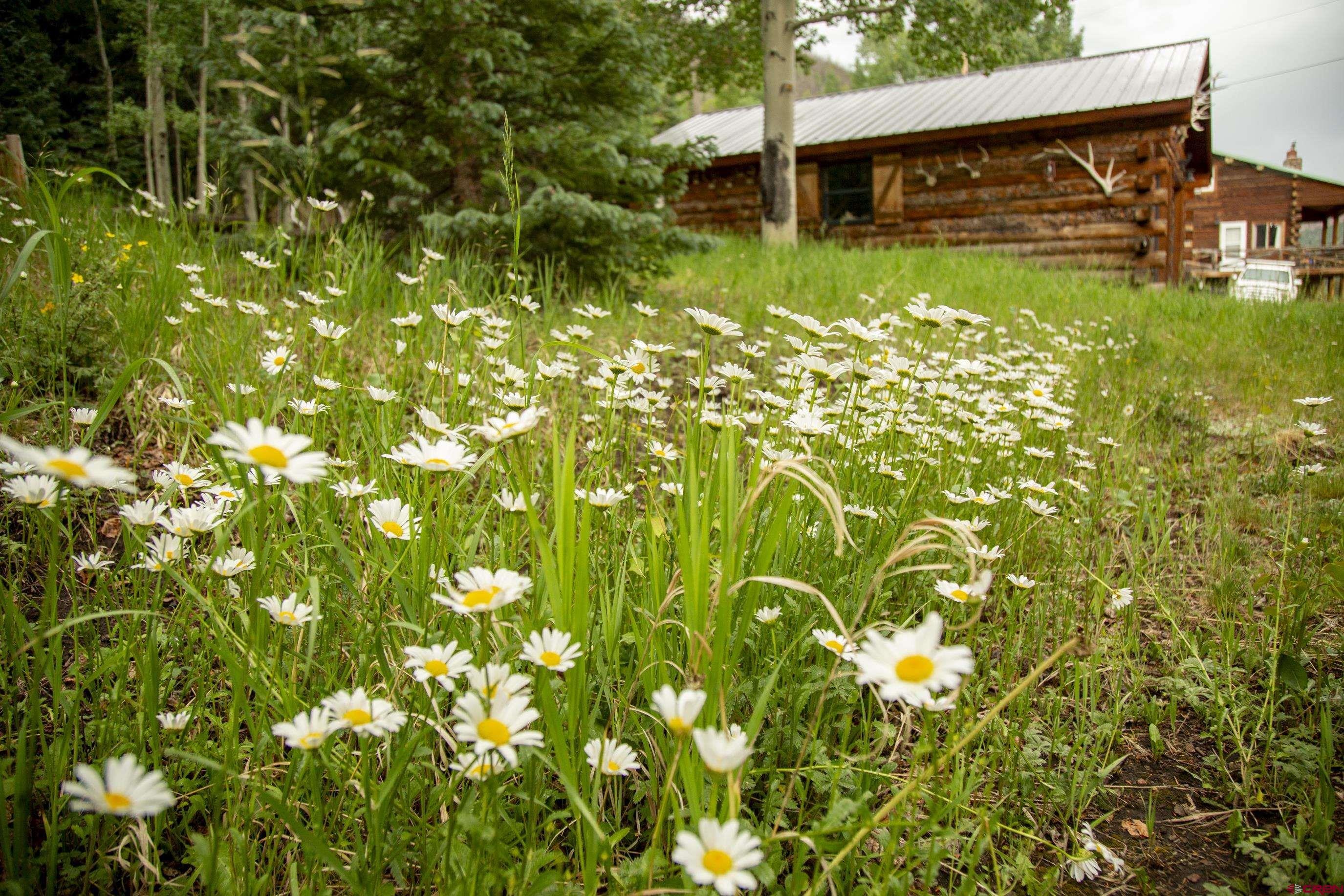 2150 Usfs 521 Road, Unit 18A Creede, CO 81130 - Photo 29 of 31