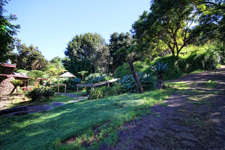 1270 Middle Road Kula, HI 96790 - Photo 2 of 17 a view of a park with large trees