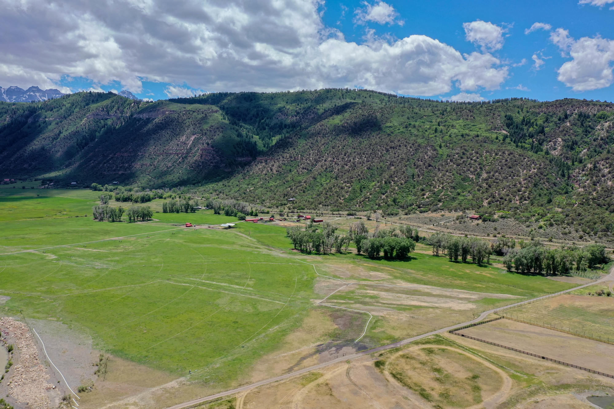 5276 County Road 23 Ridgway, CO 81432 - Photo 16 of 33 a view of a grassy field with an trees