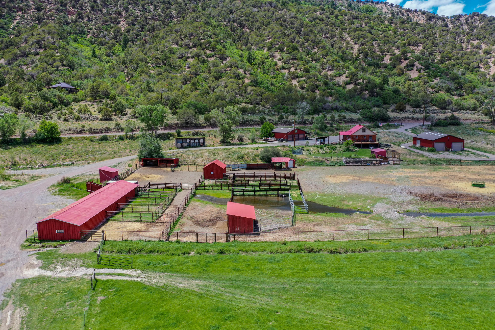 5276 County Road 23 Ridgway, CO 81432 - Photo 26 of 33 a view of yard with swimming pool and green space