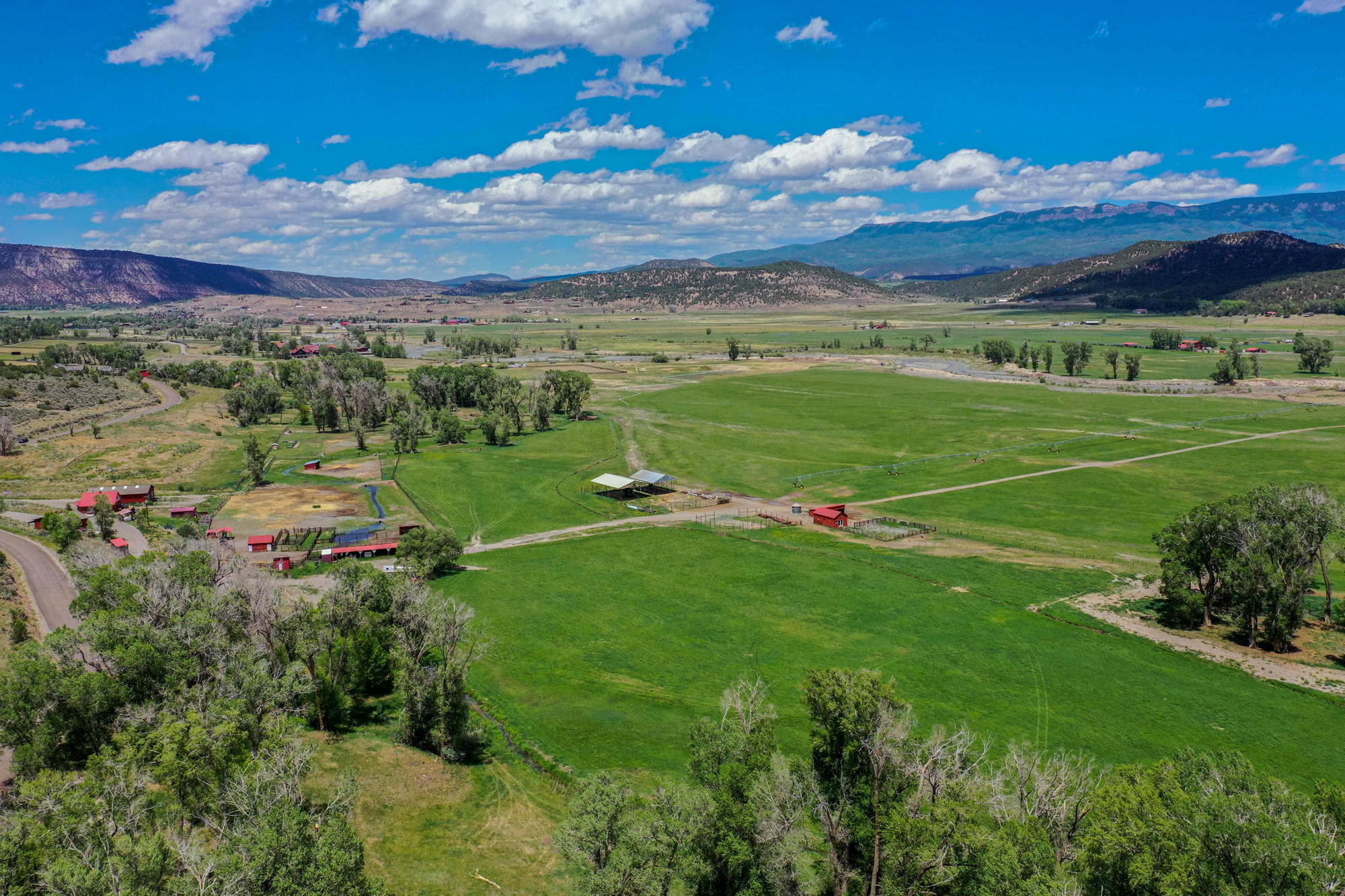 5276 County Road 23 Ridgway, CO 81432 - Photo 29 of 33 a view of a lush green field