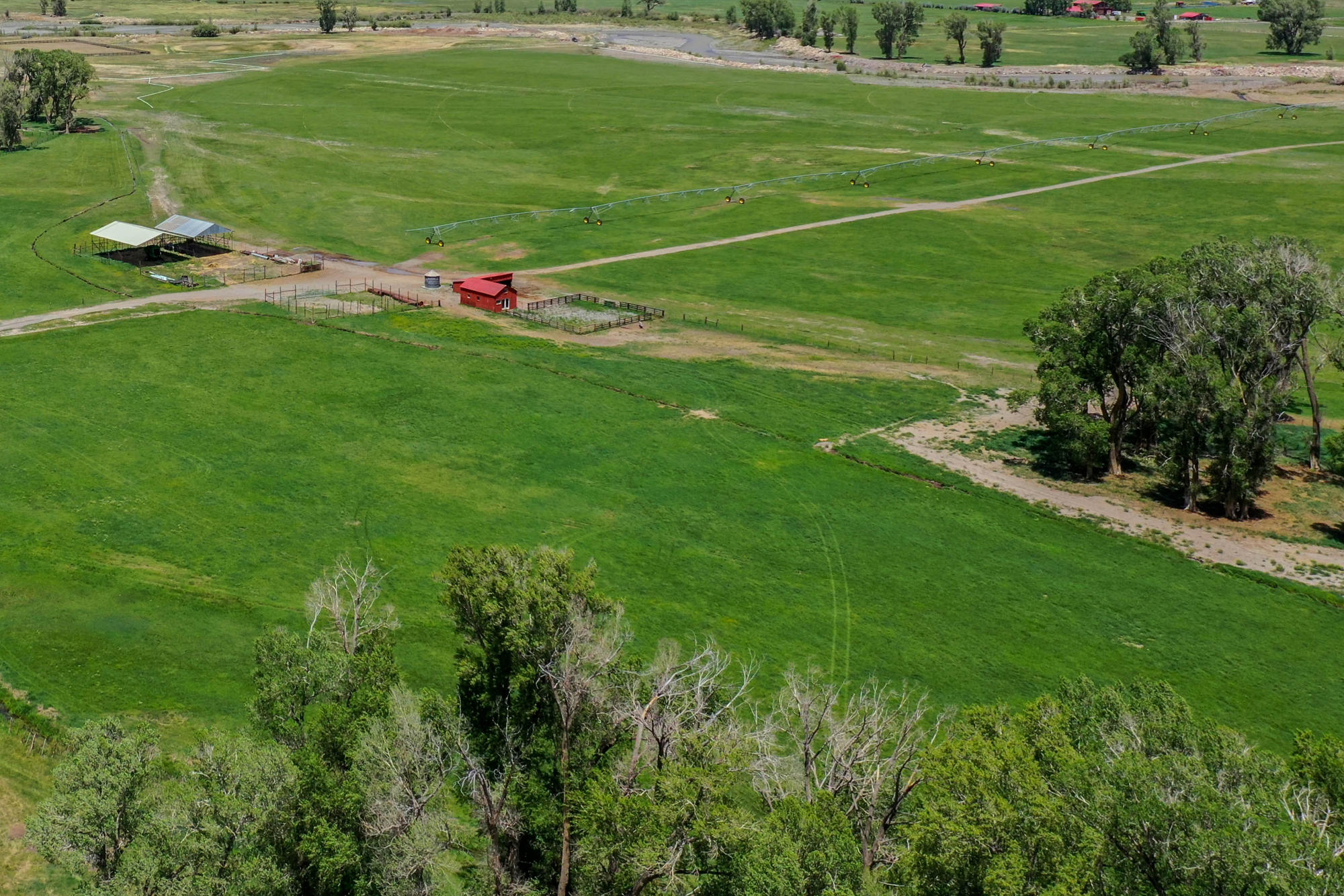 5276 County Road 23 Ridgway, CO 81432 - Photo 30 of 33 a backyard of a house with lots of green space and outdoor seating