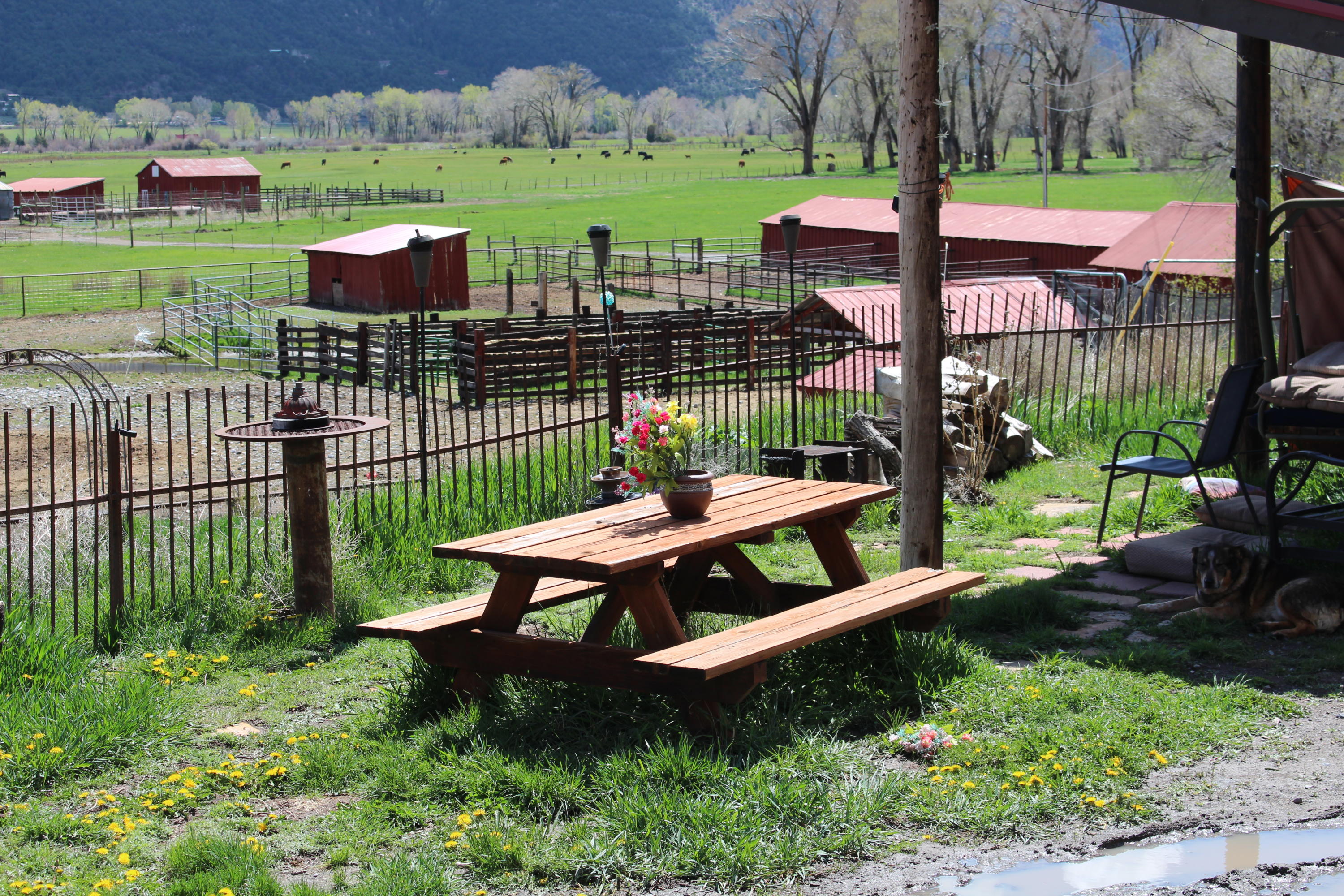 5276 County Road 23 Ridgway, CO 81432 - Photo 3 of 33 a view of a garden with lake view