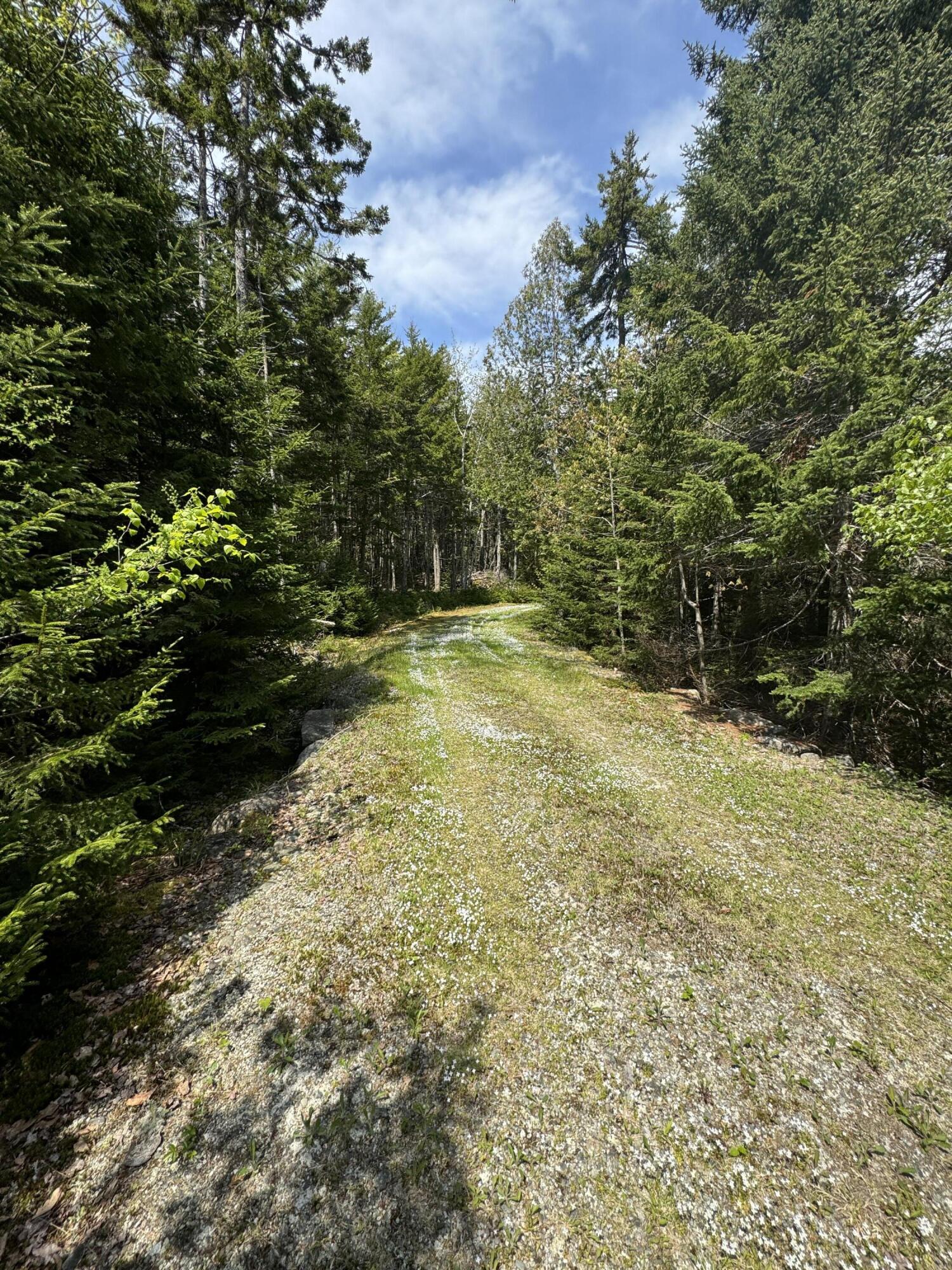 998 Cape Rosier Road Harborside, ME 04642 - Photo 35 of 42 Back to Main Road