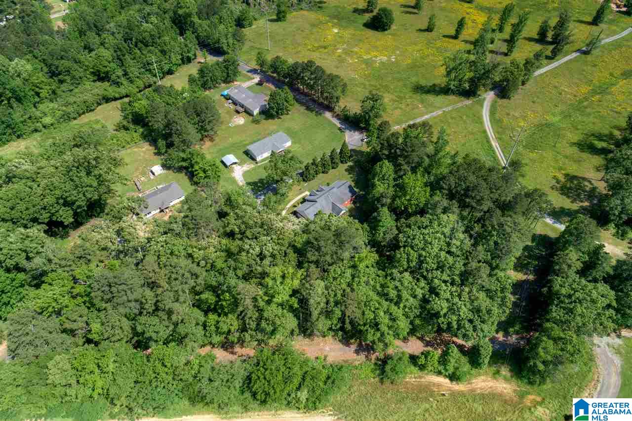 631 Dana Road Warrior, AL 35180 - Photo 39 of 41