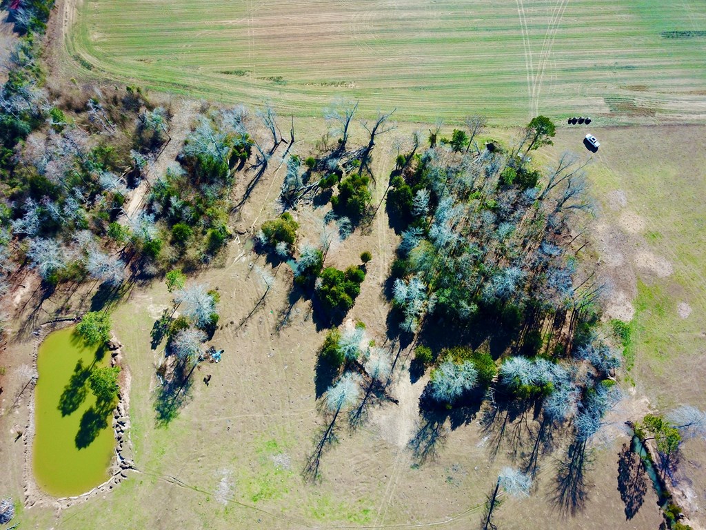 12.7-acres Nobles Road Dothan, AL 36301 - Photo 21 of 41