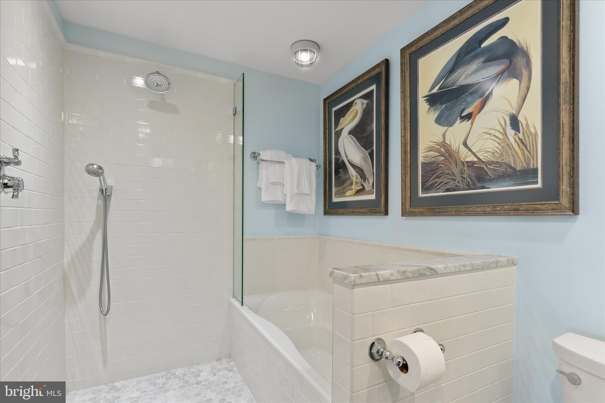 2828 27th Street Northwest Washington, DC 20008 - Photo 35 of 63 Primary Bath
