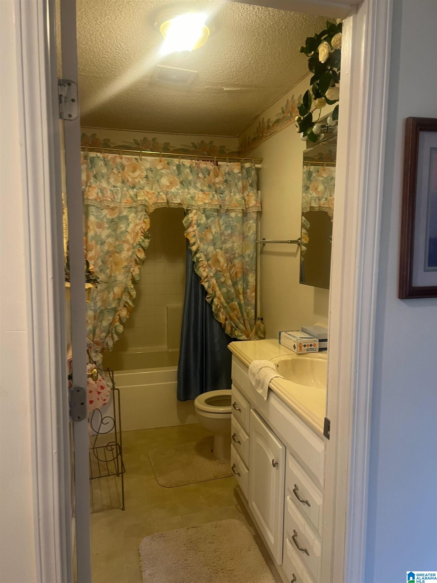 841 St Mary Road Gordon, AL 36343 - Photo 6 of 13
