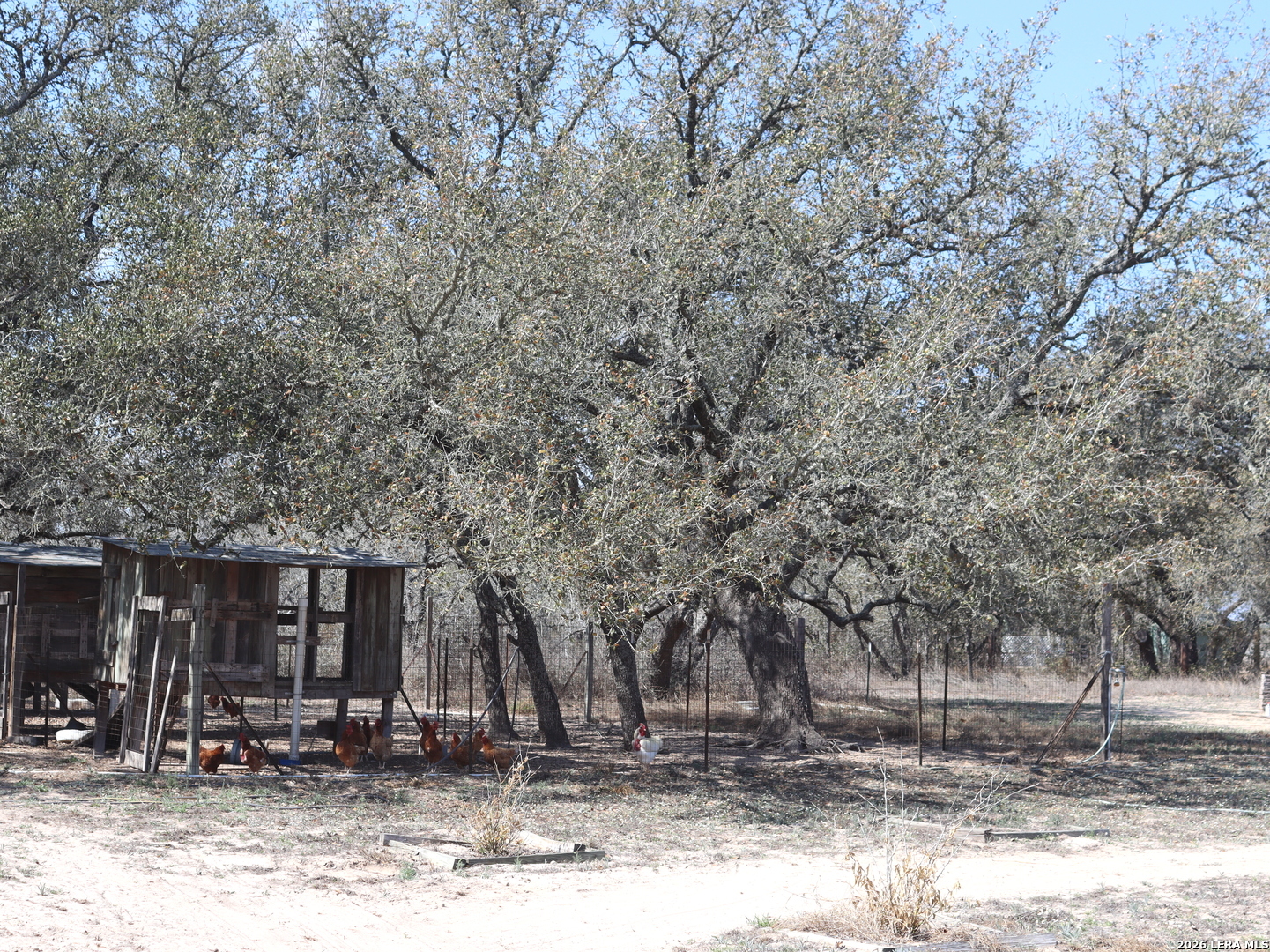 1580 Rendon Road Poteet, TX 78065 - Photo 5 of 8