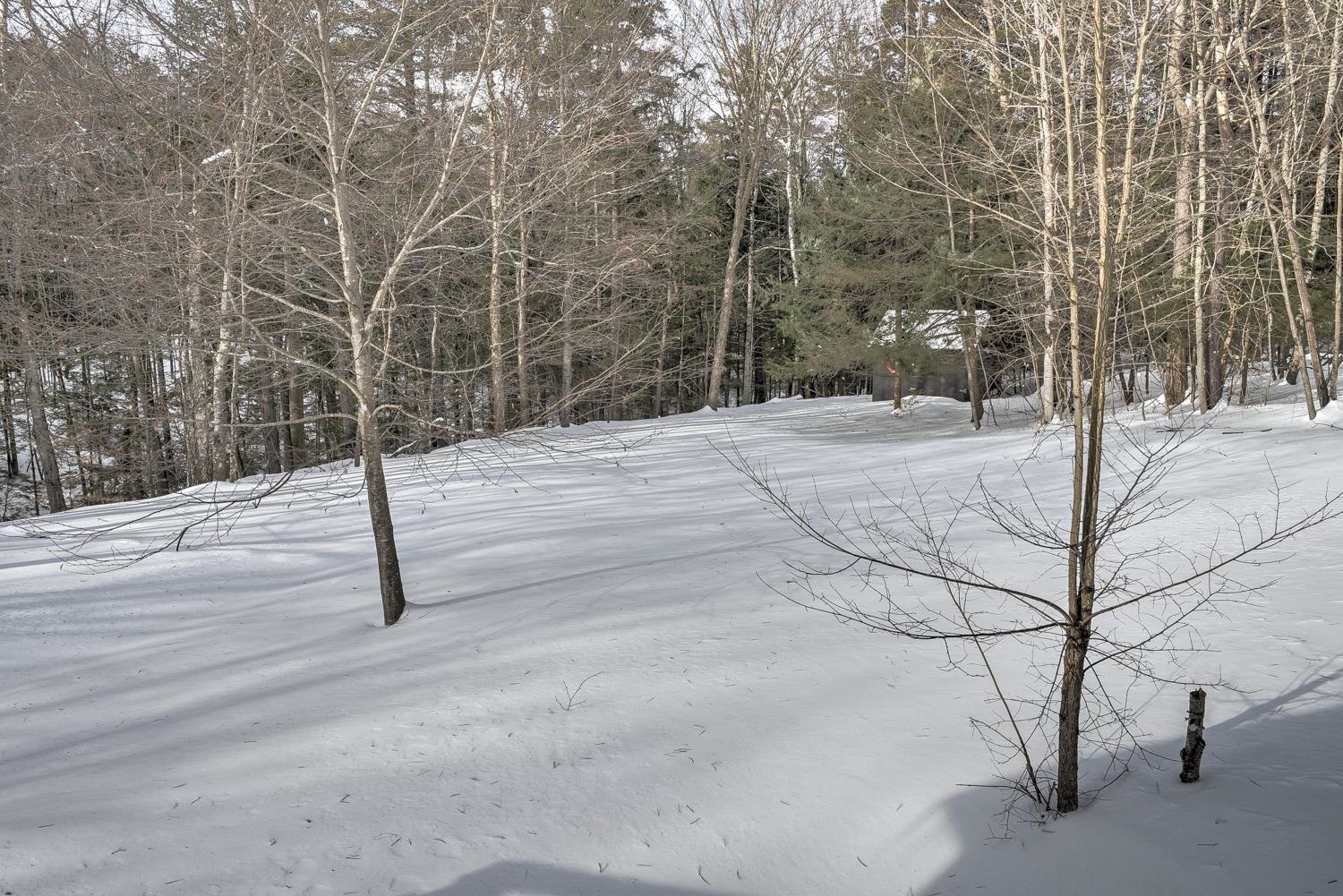 650 Roxbury Road Keene, NH 03431 - Photo 47 of 48